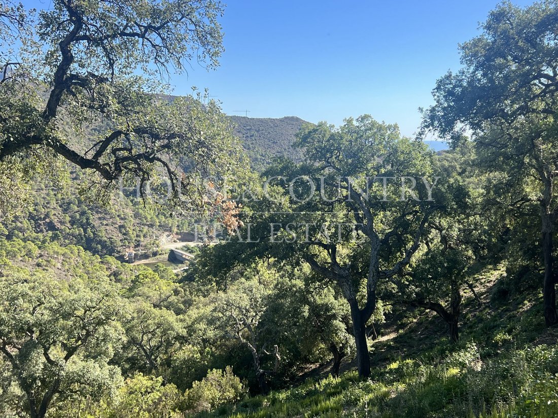 Land in Benahavis, Andalusia, Spain 5 - 17947268
