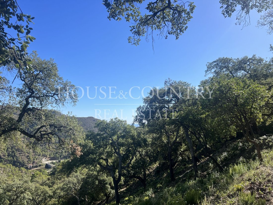 Land in Benahavis, Andalusia, Spain 4 - 17947268