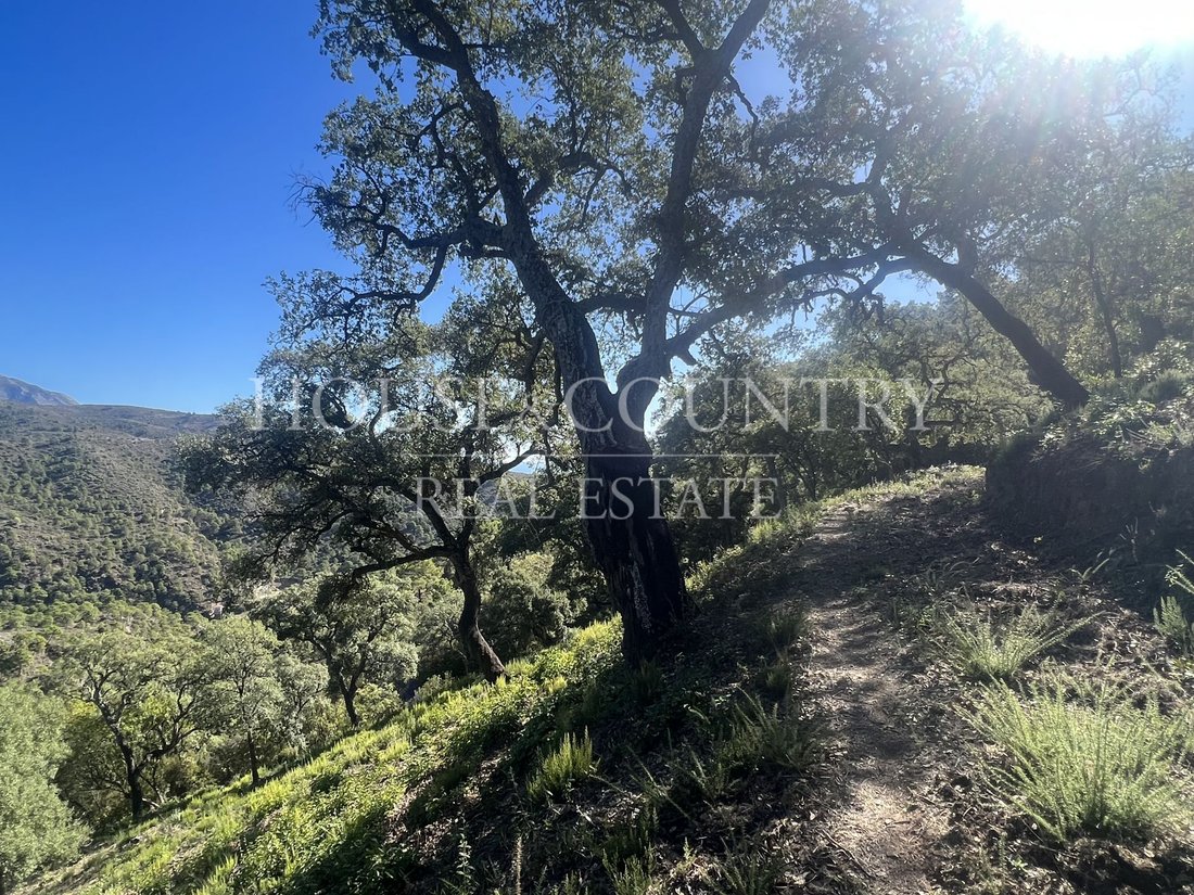 Land in Benahavis, Andalusia, Spain 3 - 17947268