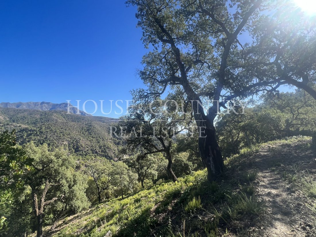 Land in Benahavis, Andalusia, Spain 2 - 17947268