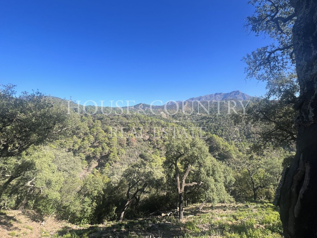 Land in Benahavis, Andalusia, Spain 1 - 17947268