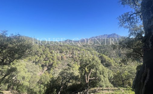 Terreno a Benahavís, Andalusia, Spagna 1