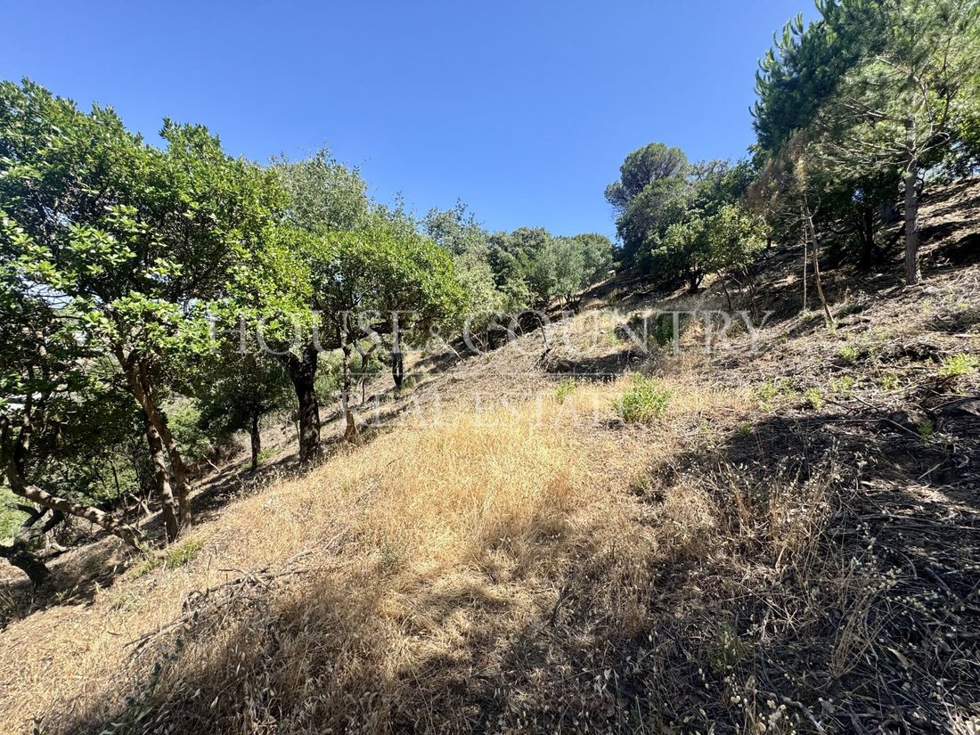 Land in Benahavis, Andalusia, Spain 5 - 17947226