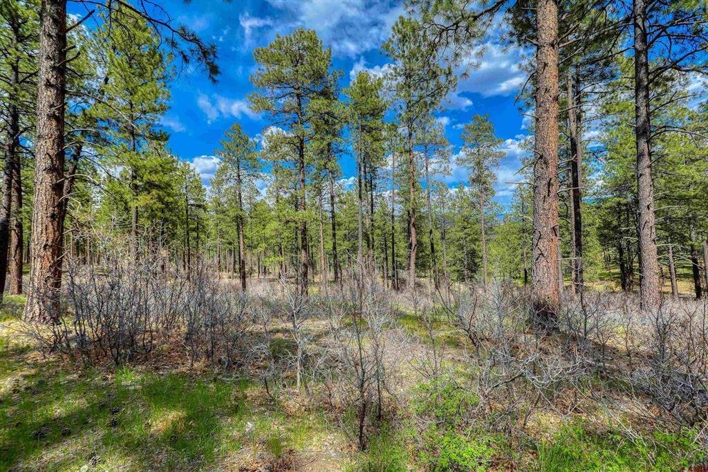 Land in Pagosa Springs, Colorado, United States 3 - 17954187
