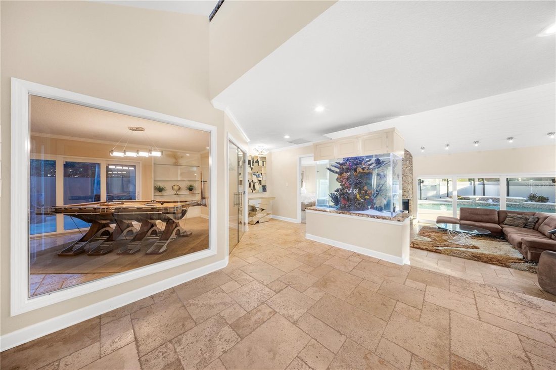 House in Tampa, Florida, United States 5 - 17955925