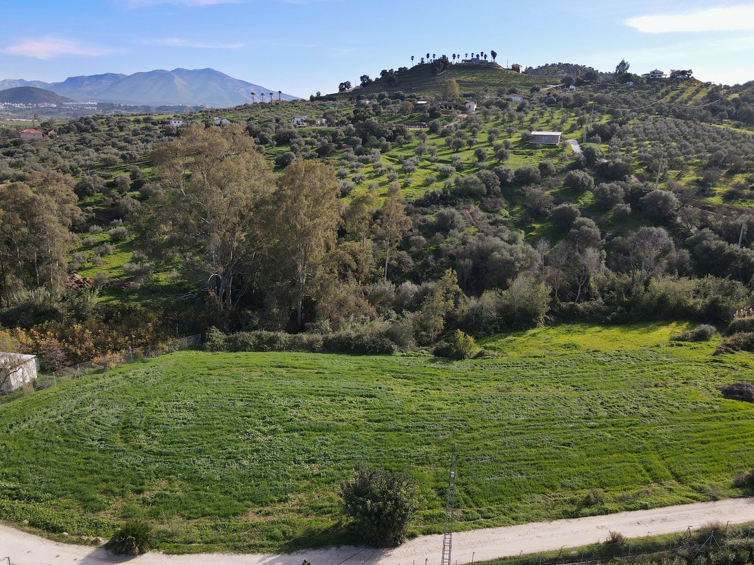 Finca in Coin, Andalusia, Spain 5 - 17947587