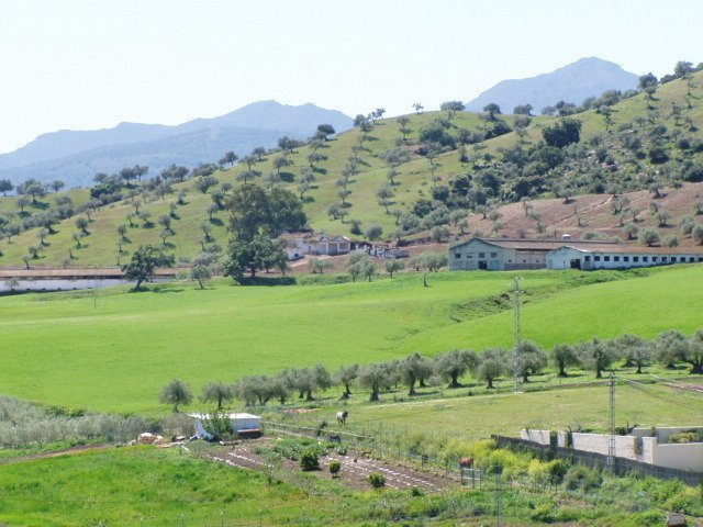 Land in Coin, Andalusia, Spain 4 - 17947364