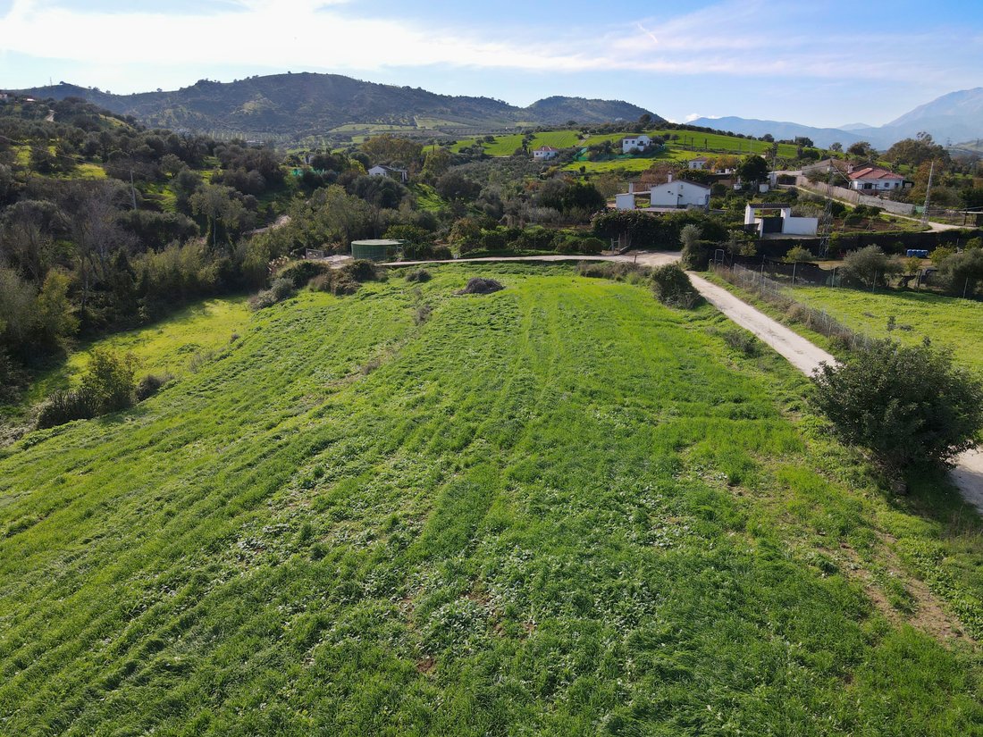 Finca in Coin, Andalusia, Spain 2 - 17947587