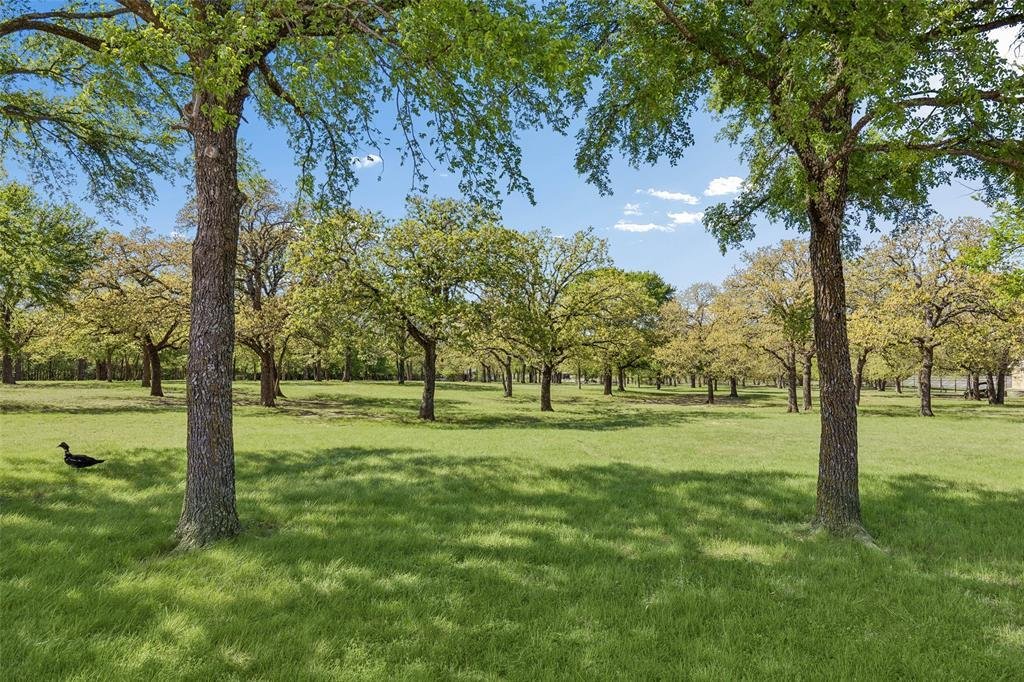 Farm Ranch in Granbury, Texas, United States 5 - 17952183