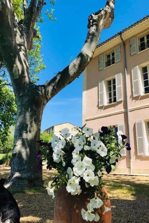 House in Aups, Provence-Alpes-Côte d'Azur, France 3 - 17953184