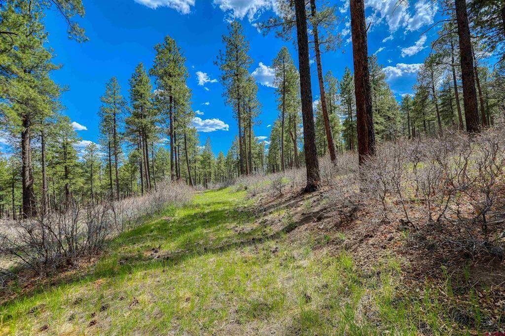 Land in Pagosa Springs, Colorado, United States 4 - 17954187