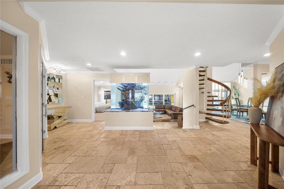 House in Tampa, Florida, United States 3 - 17955925