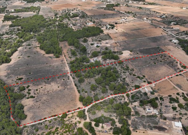 Land in Formentera, Balearic Islands, Spain 1 - 17951530