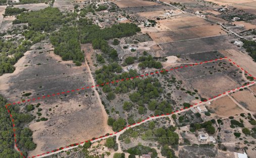 Land in Formentera, Balearic Islands, Spain 1
