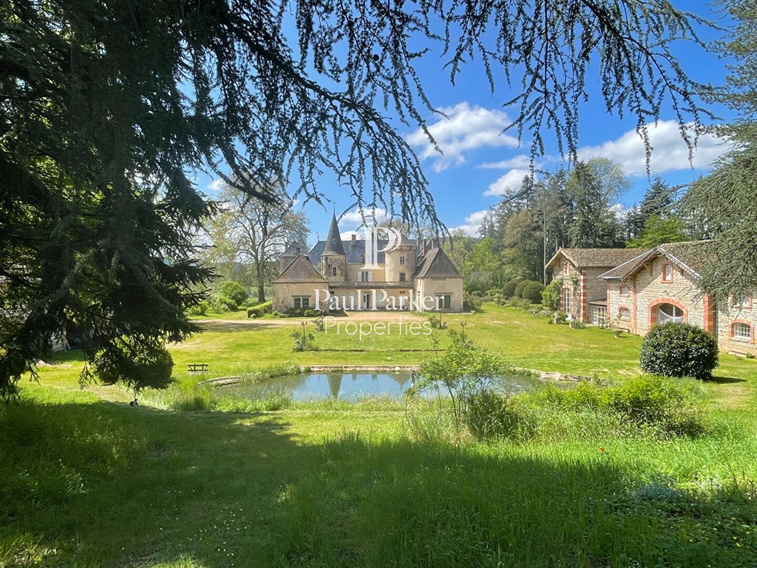 Chateau in Cluny, Bourgogne – Franche-Comté, France 2 - 17954486