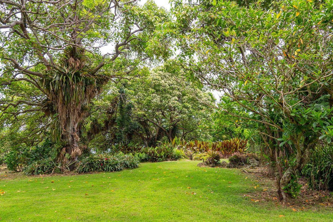 House in Captain Cook, Hawaii, United States 5 - 17953456