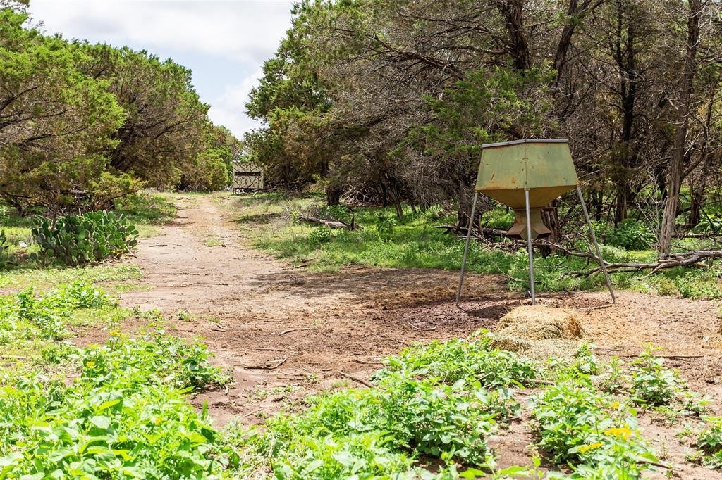 Farm Ranch in Clifton, Texas, United States 1 - 17952645