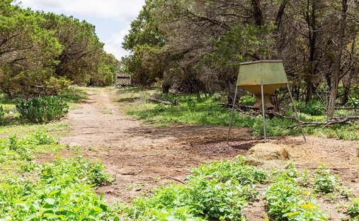 Farm Ranch in Clifton, Texas, United States 1