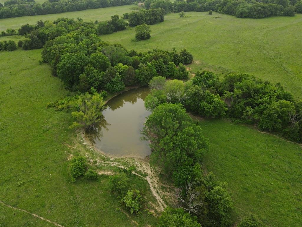 Farm Ranch in Bowie, Texas, United States 3 - 17952331