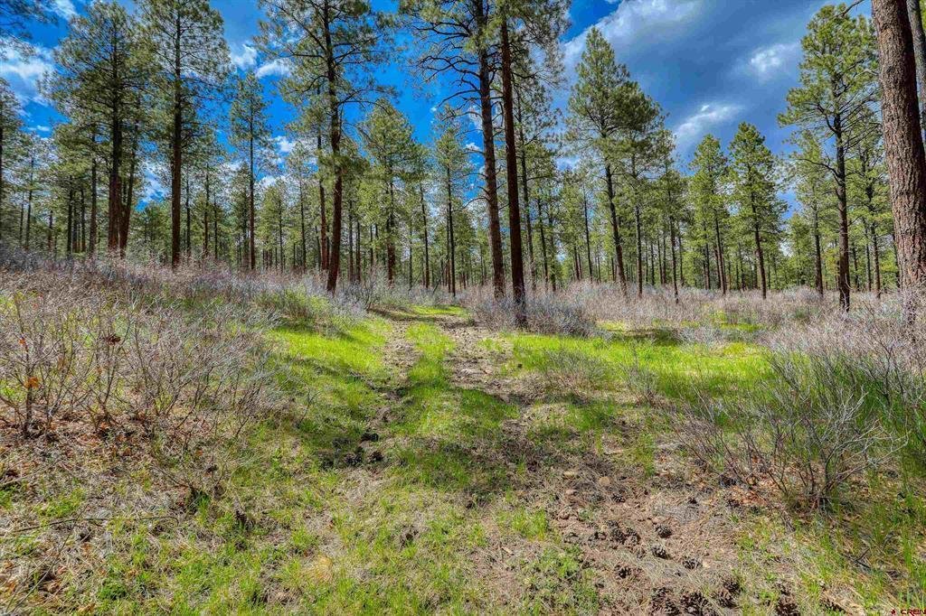 Land in Pagosa Springs, Colorado, United States 1 - 17954187