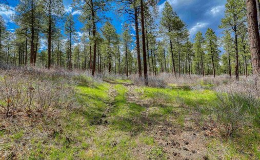 Land in Pagosa Springs, Colorado, United States 1
