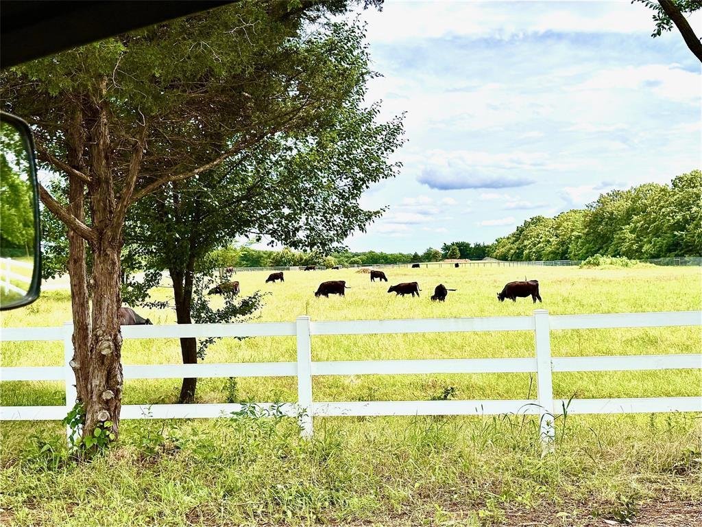 Land in Valley View, Texas, United States 2 - 17952501