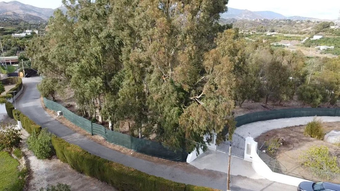 Finca in Estepona, Andalusien, Spanien 5 - 17947283