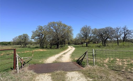 Farm Ranch in Jacksboro, Texas, United States 1
