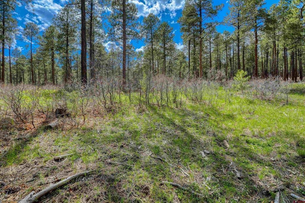 Land in Pagosa Springs, Colorado, United States 5 - 17954187