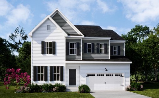 House in Magnolia, Delaware, United States 1