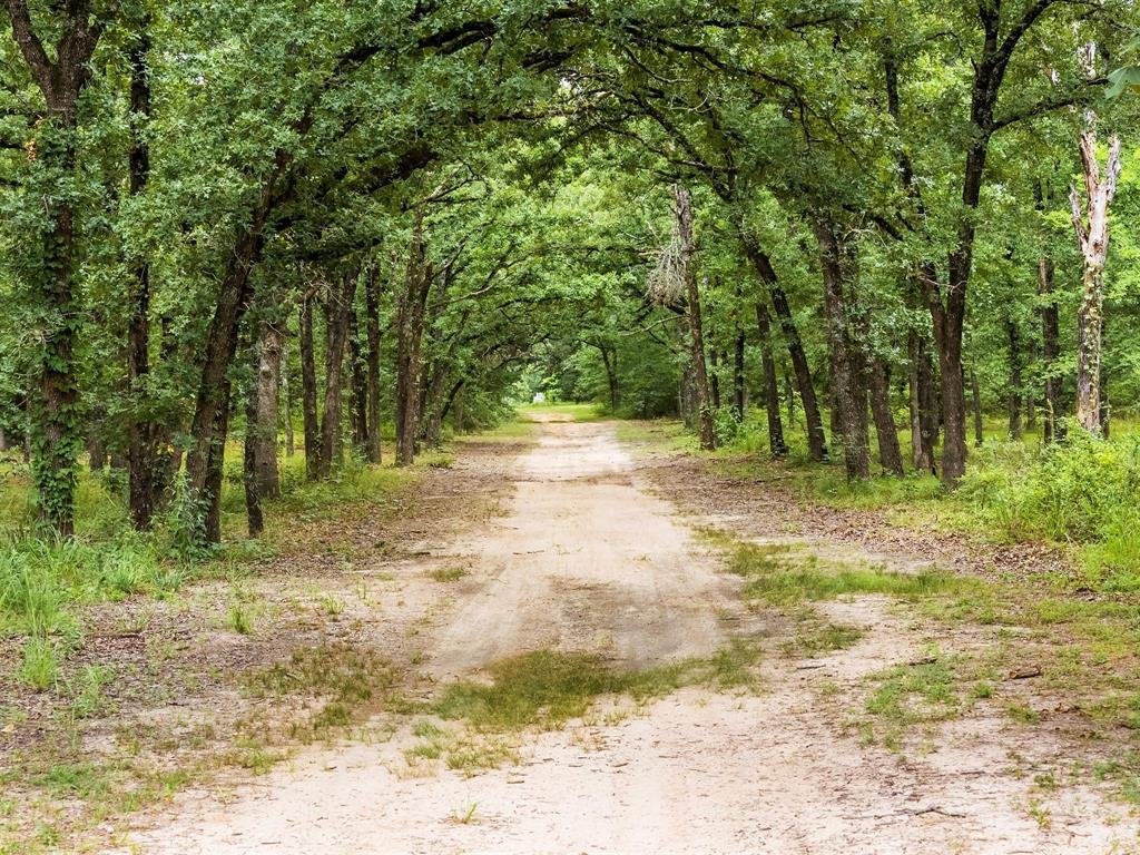 House in Fruitvale, Texas, United States 4 - 17952488