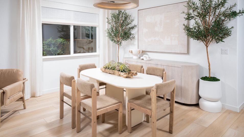 House in Sacramento, California, United States 3 - 17950038