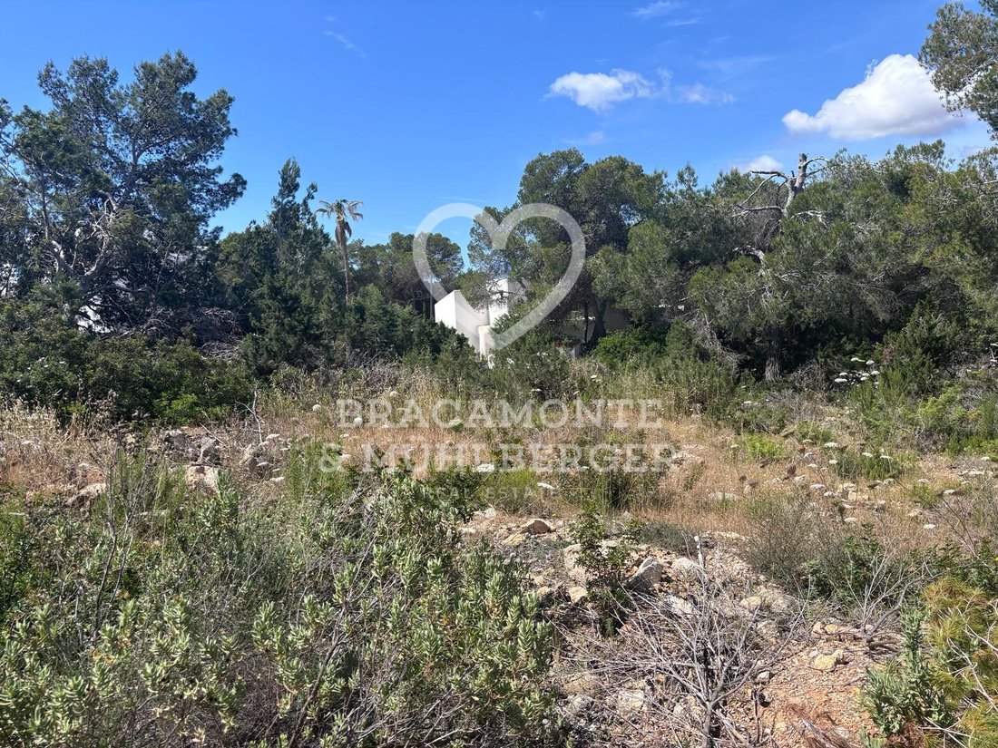 Land in Sant Carles de Peralta, Santa Eularia des Riu, Balearic Islands 2 - 17954314