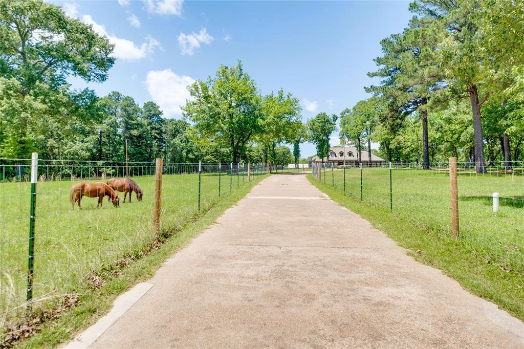 Farm Ranch in Palestine, Texas, United States 3 - 17952718