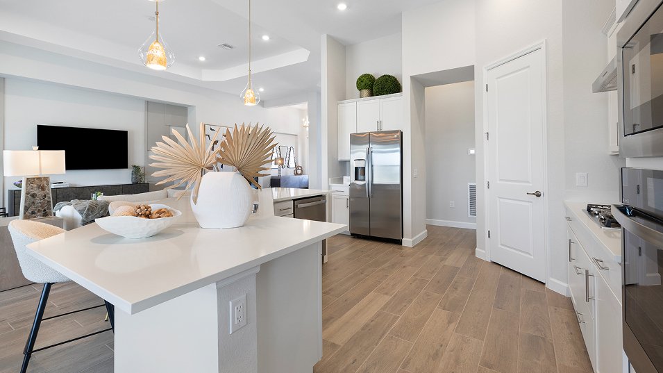 House in Bradenton, Florida, United States 5 - 17949900