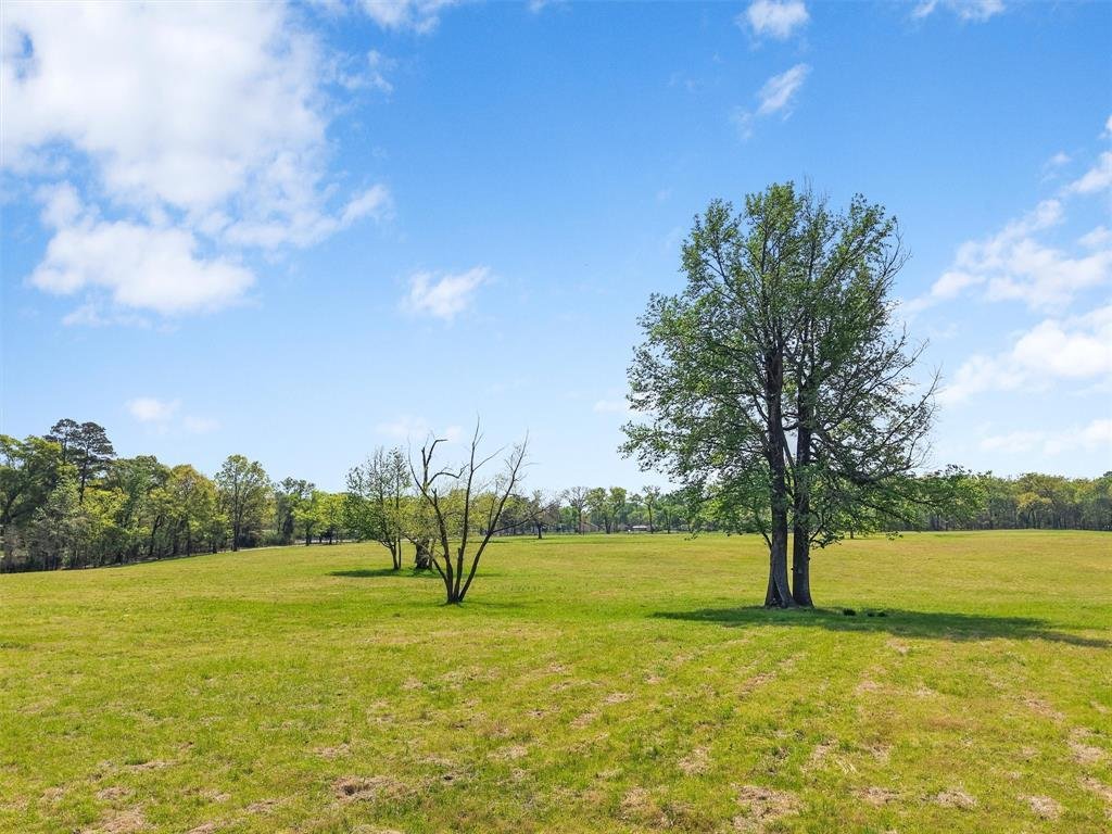 Farm Ranch in Scroggins, Texas, United States 5 - 17952396