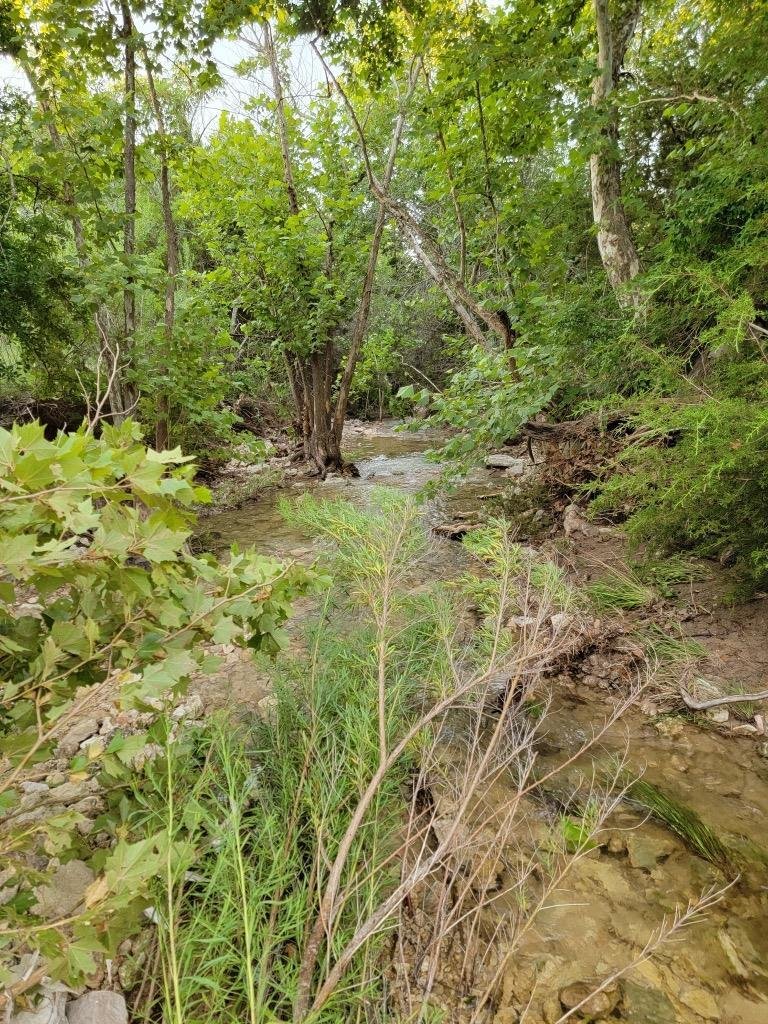 House in Wimberley, Texas, United States 5 - 17890740