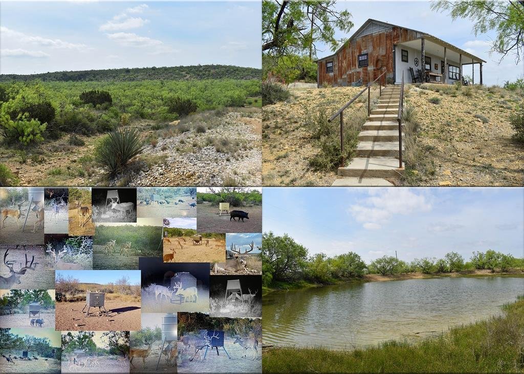 Land in Voss, Texas, United States 3 - 17952469