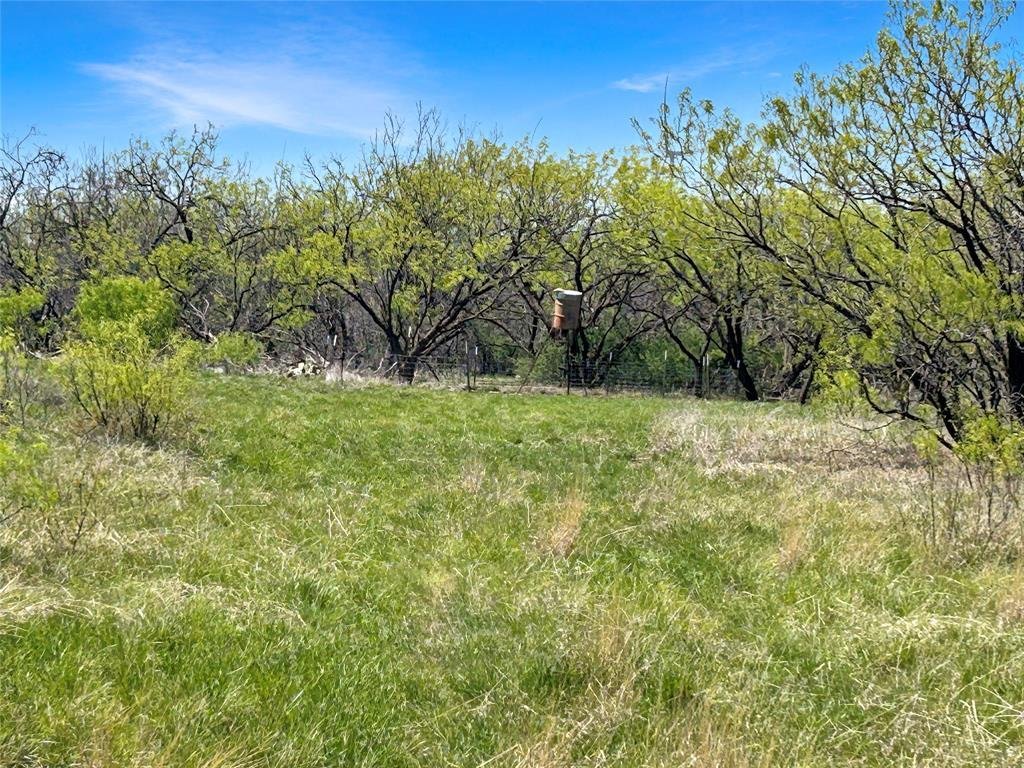 Terreno a Cisco, Texas, Stati Uniti 4 - 17952670
