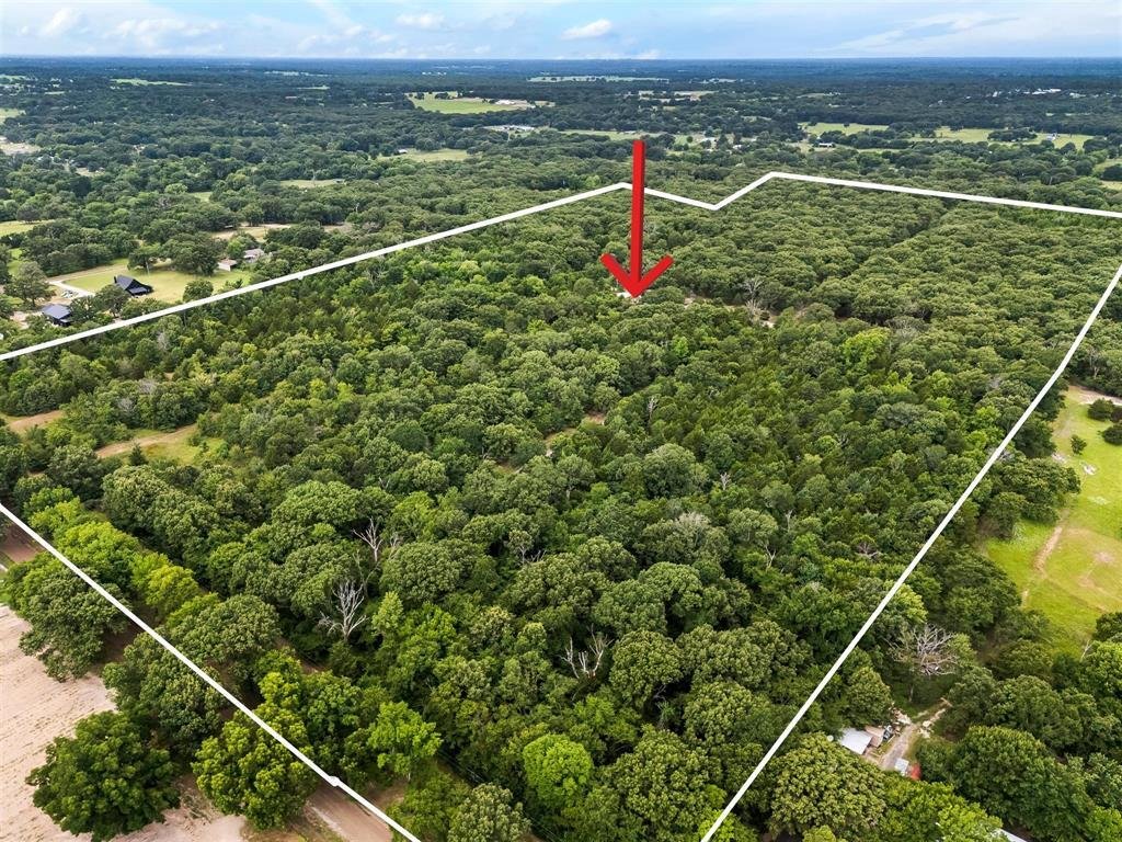 House in Fruitvale, Texas, United States 1 - 17952488