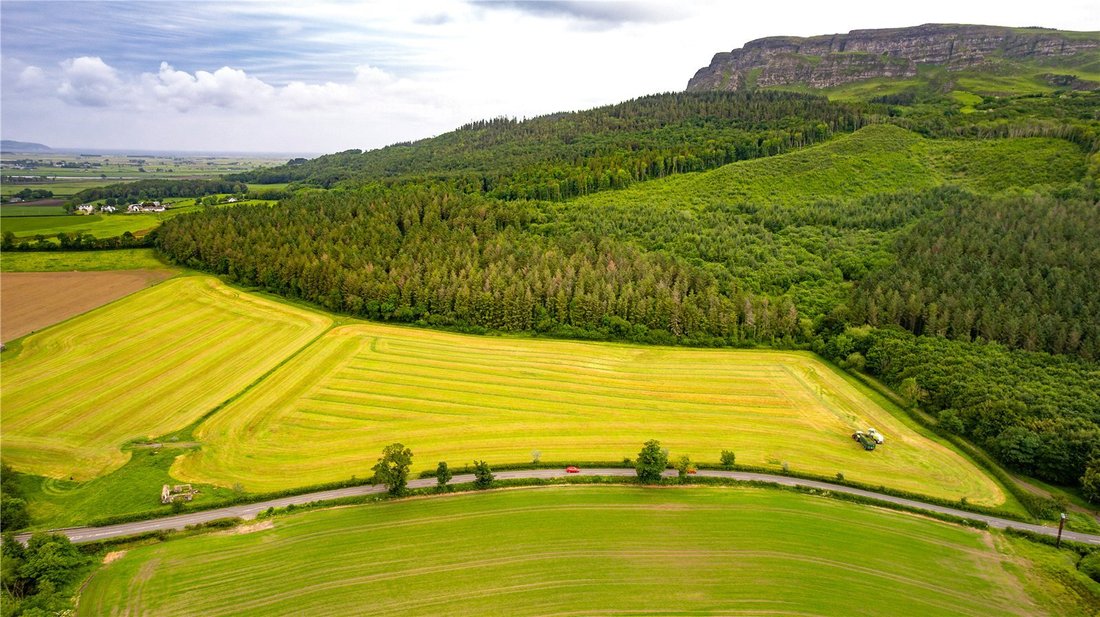 Terreno in Ireland 2 - 17948241