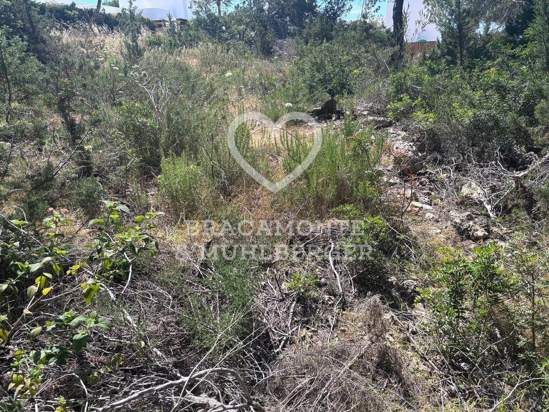 Land in Sant Carles de Peralta, Santa Eularia des Riu, Balearic Islands 4 - 17954314