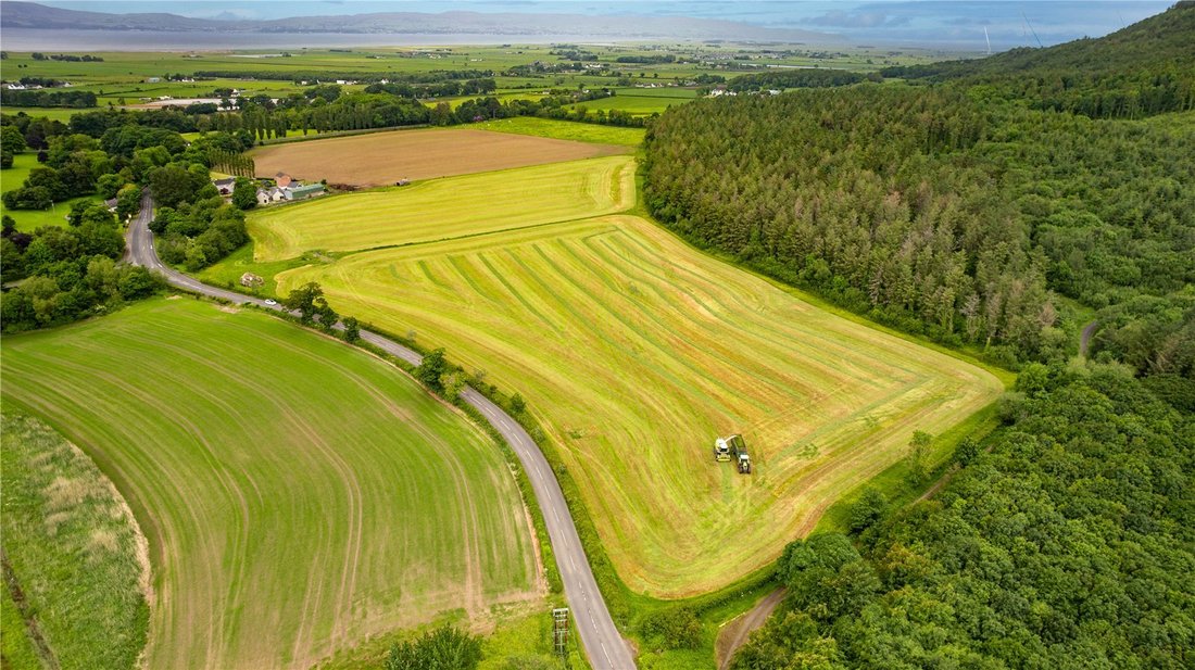Terreno in Ireland 1 - 17948241