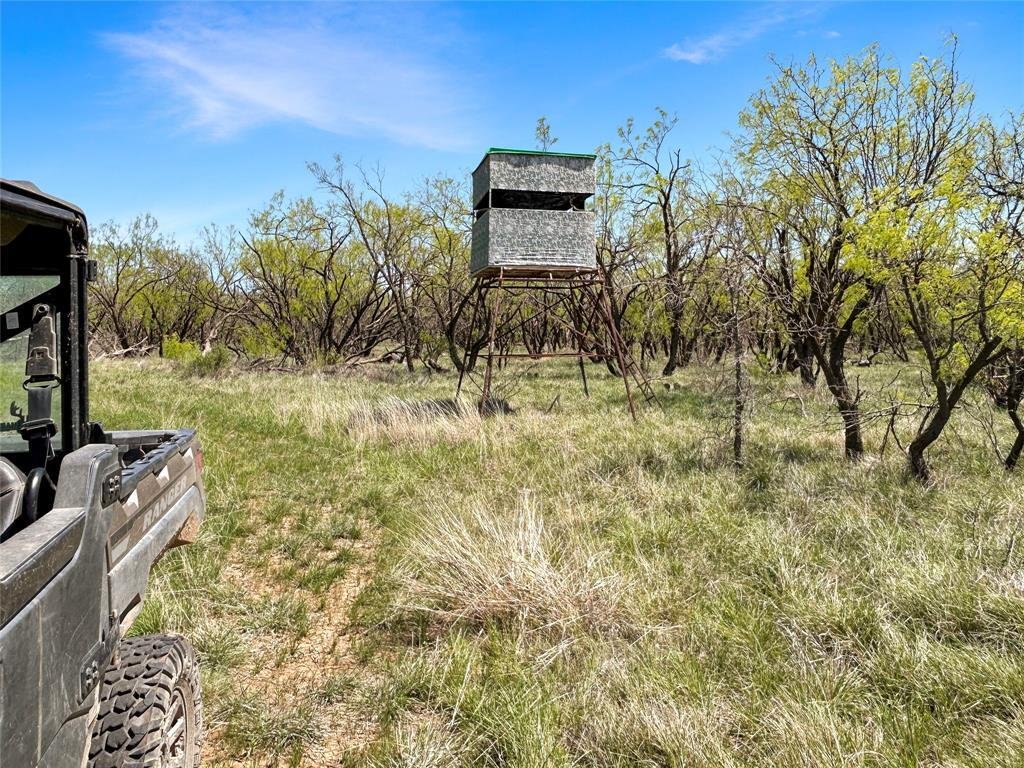 Terreno a Cisco, Texas, Stati Uniti 2 - 17952670