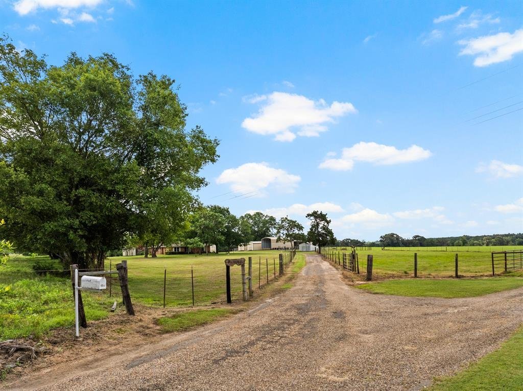 Farm Ranch in Pittsburg, Texas, United States 1 - 17952277