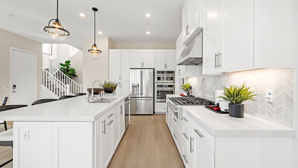 House in San Juan Capistrano, California, United States 3 - 17950749