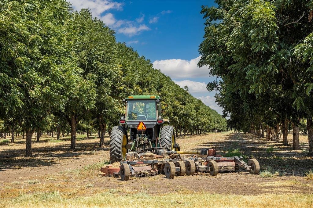 Farm Ranch in San Saba, Texas, United States 4 - 17952291