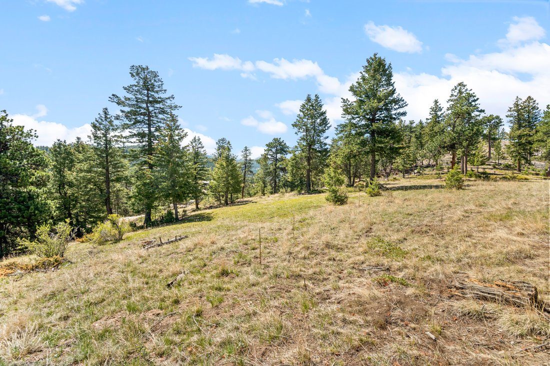 Land in Evergreen, Colorado, United States 4 - 17955569