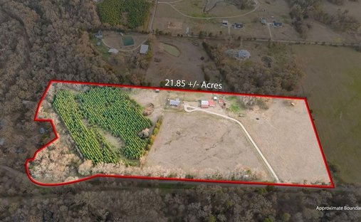Farm Ranch in Winnsboro, Texas, United States 1