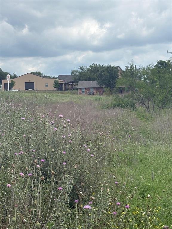 Terreno a Maypearl, Texas, Stati Uniti 4 - 17953836